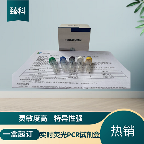 戊型肝炎病毒(HEV)核酸检测试剂盒(荧光-PCR法)