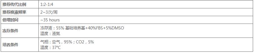 image 2020120907083515951