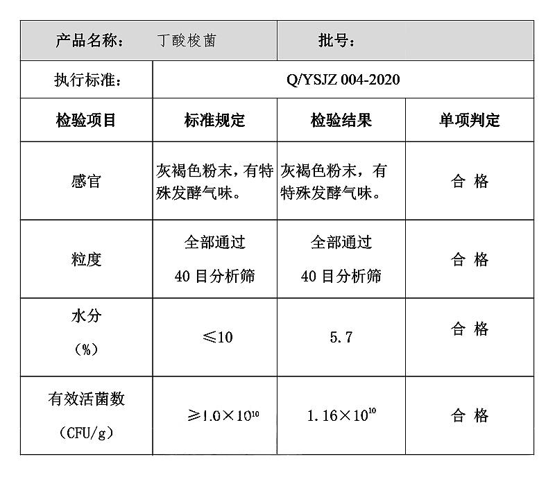 丁酸梭菌.jpg