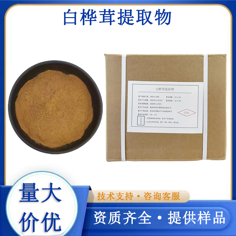 白桦茸提取物厂家