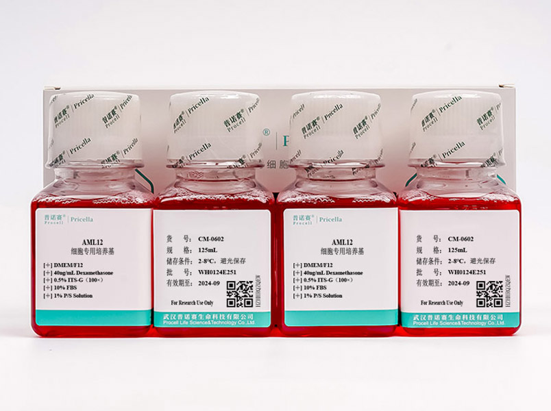 AML12细胞专用培养基CM-0602
