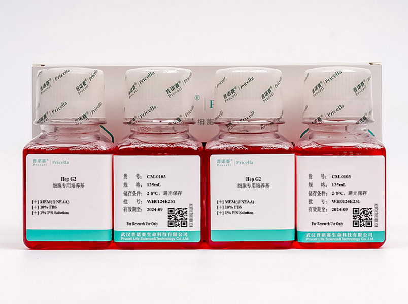 Hep G2细胞专用培养基CM-0103