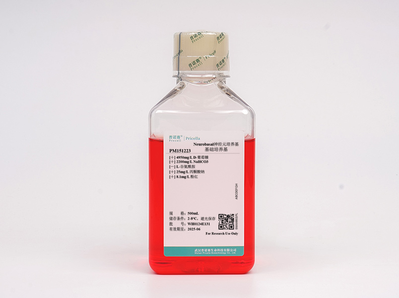 Neurobasal神经元培养基PM151223