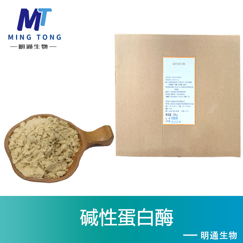 碱性蛋白酶厂家