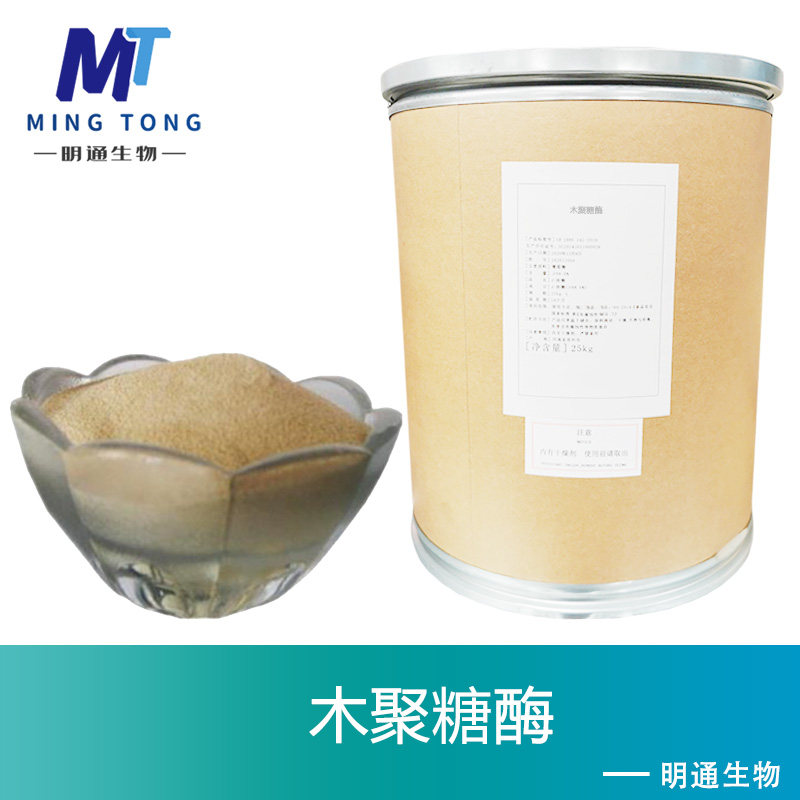 木聚糖酶厂家