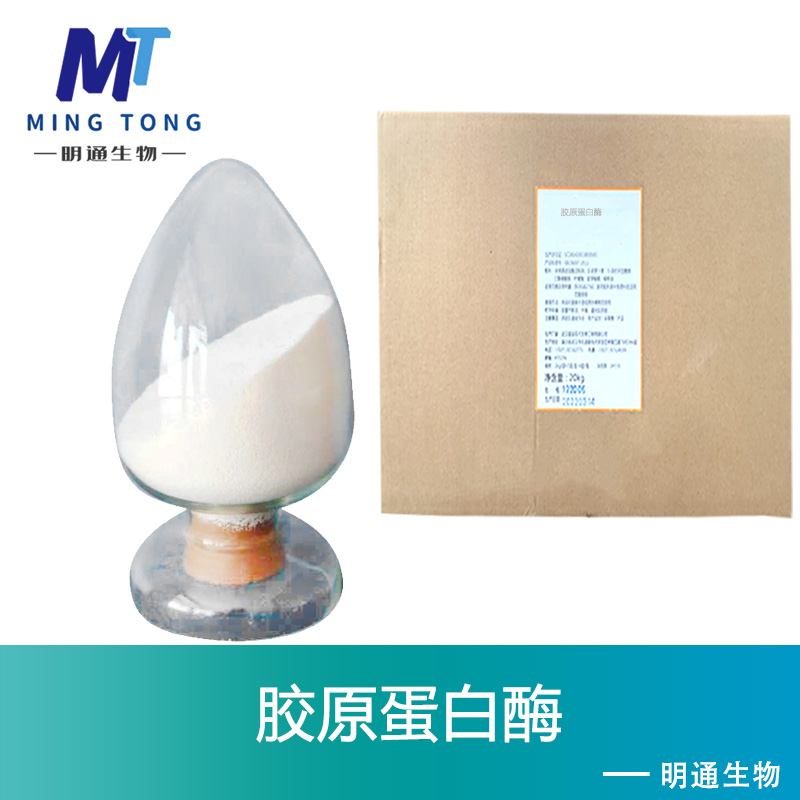 胶原蛋白酶厂家