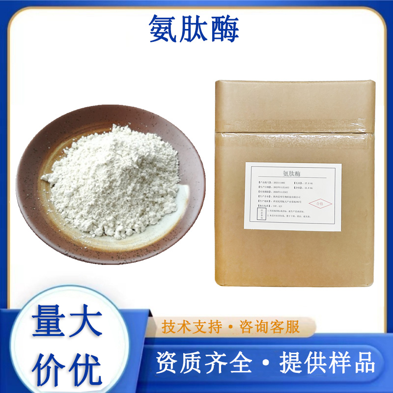 氨肽酶生产厂家