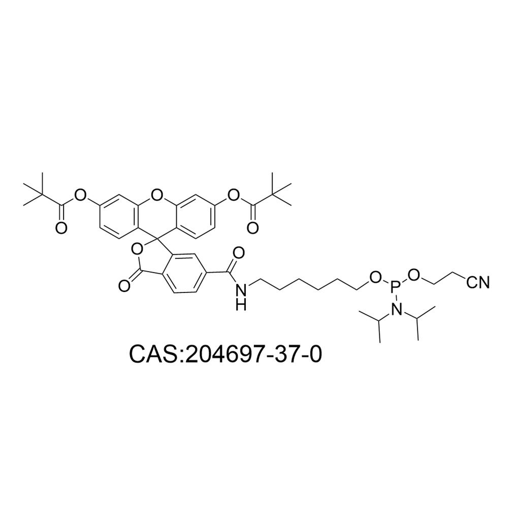 6-FAM 亚磷酰胺；5'-荧光素氨基磷酸酯；FAM亚磷酰胺单体