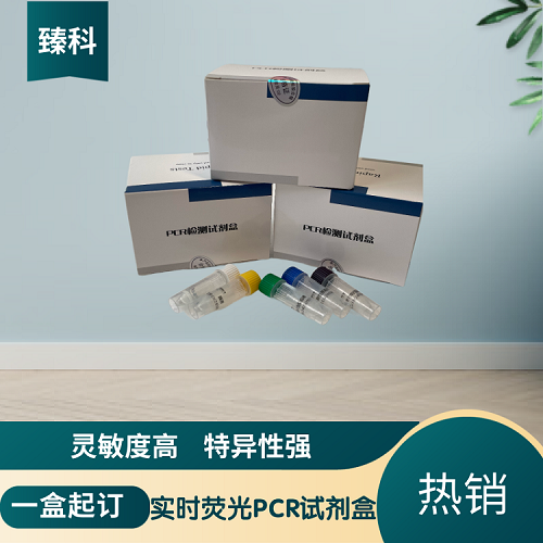 猪瘟病毒野毒株（CSFV-W）核酸检测试剂盒（荧光-PCR法）