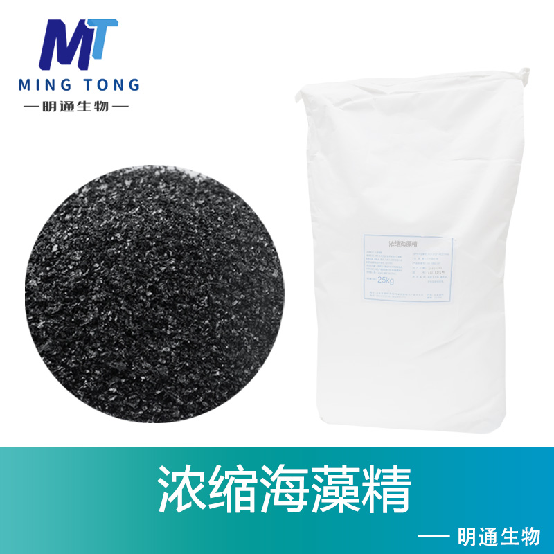 浓缩海藻精厂家