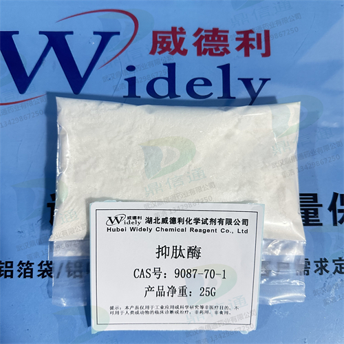 抑肽酶；蛋白酶抑制剂