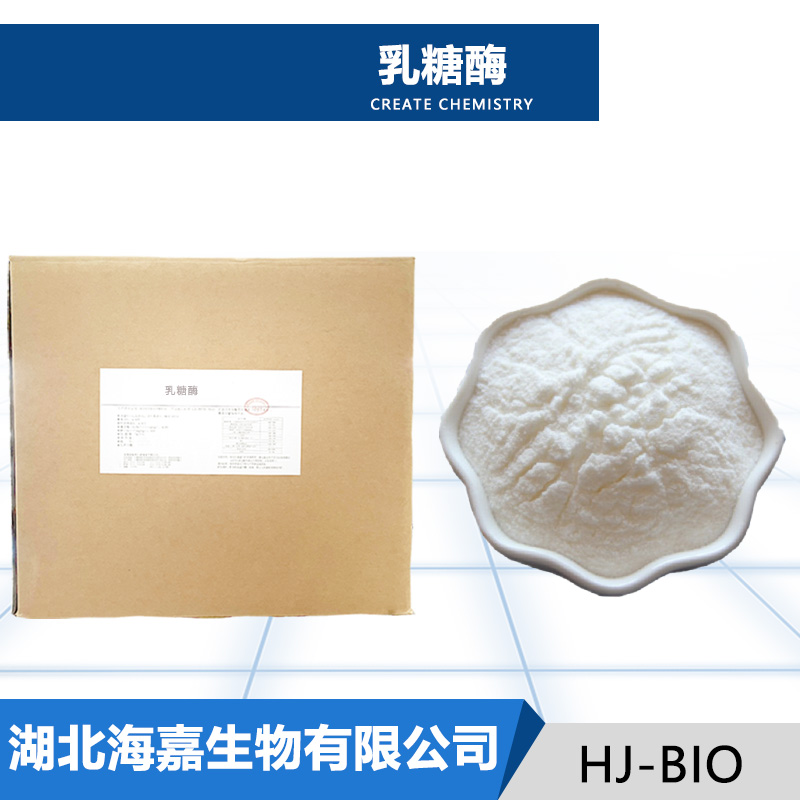 乳糖酶