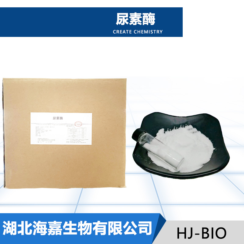 脲酶
