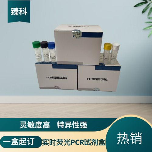 牛传染性鼻气管炎病毒(IBRV)核酸检测试剂盒(荧光-PCR法)