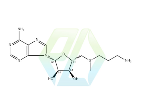 丁二磺酸腺苷蛋氨酸杂质4