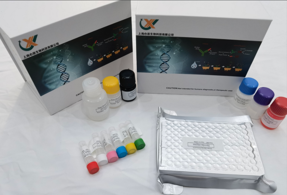 人Anoctamin 6蛋白(ANO6)ELISA检测试剂盒