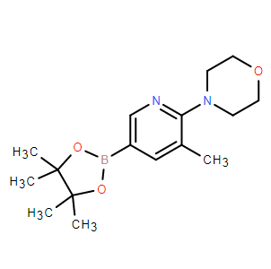 5-甲基-6-吗啉基吡啶-3-硼酸频哪醇酯