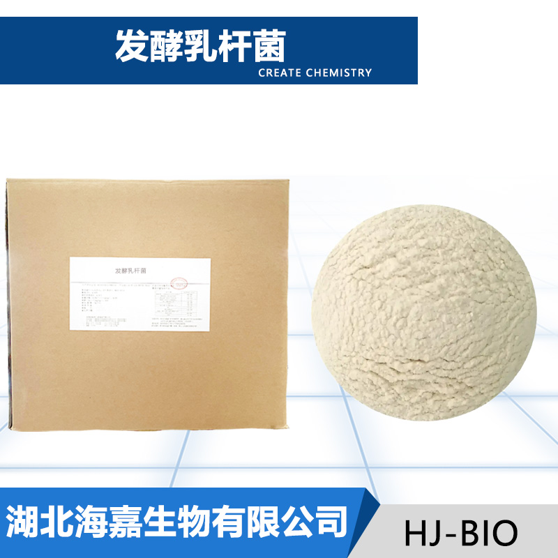 发酵粘液乳杆菌