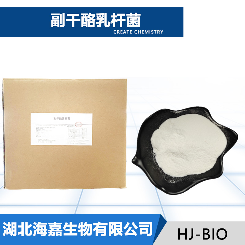 副干酪乳酪杆菌