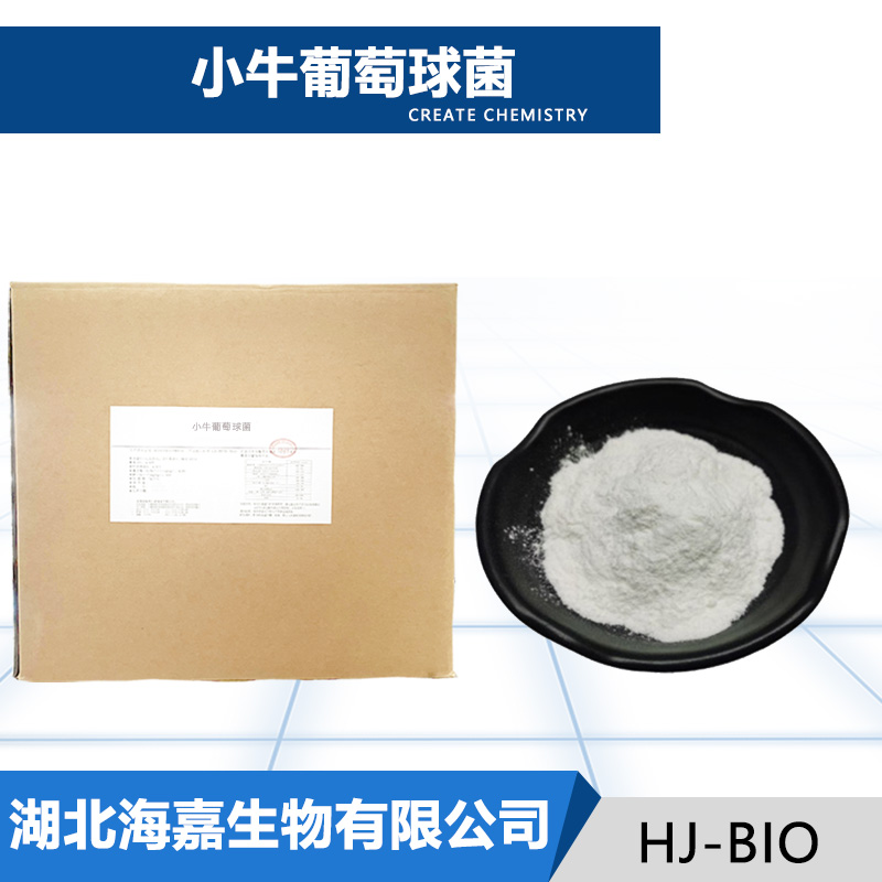 小牛动物球菌