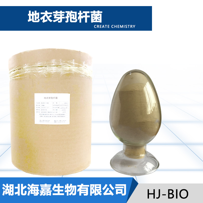地衣芽孢杆菌