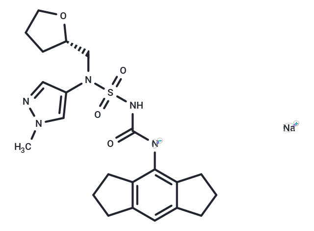 化合物 NT-0249|T85352|TargetMol