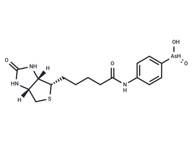化合物 N-Biotinyl p-aminophenyl arsenic acid|T88444|TargetMol