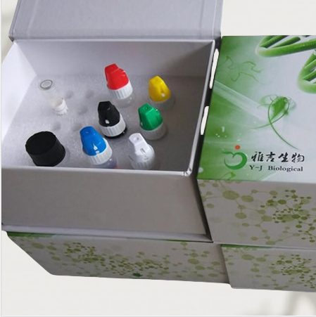 细颈线虫染料法荧光定量PCR试剂盒