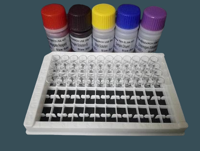 畸形细颈线虫染料法荧光定量
