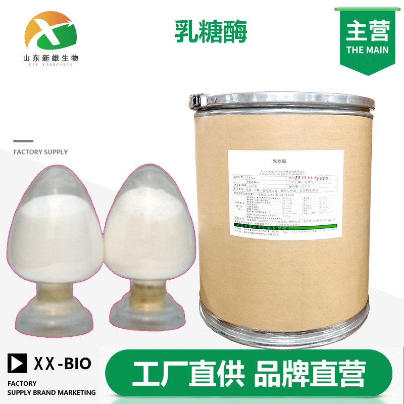 乳糖酶