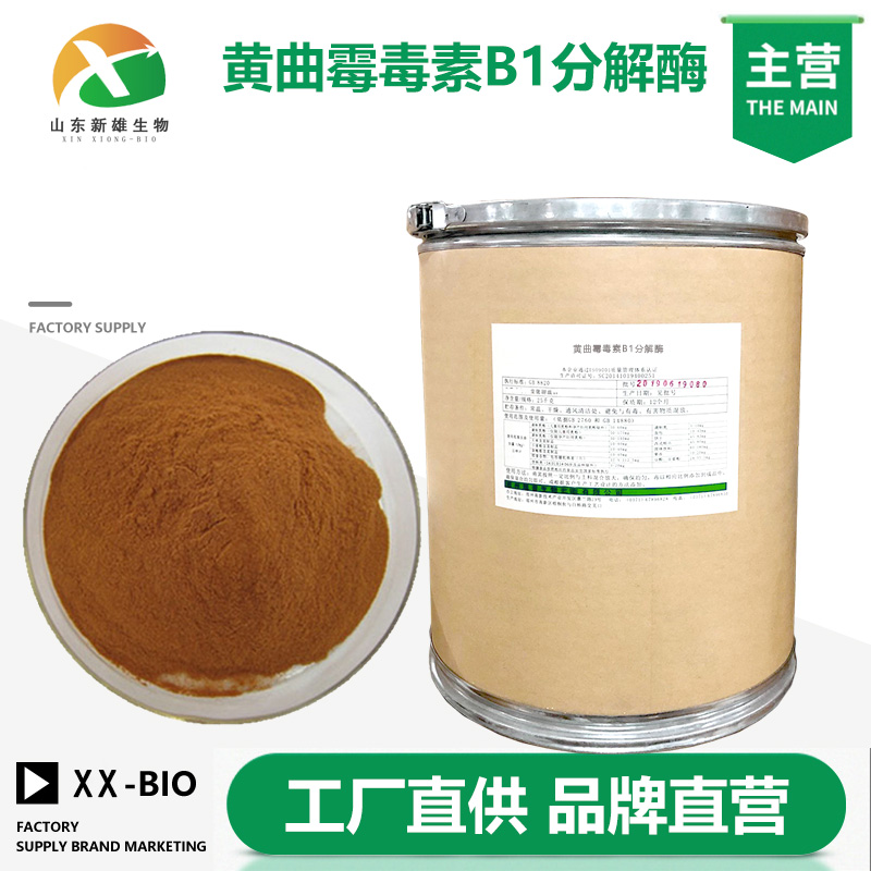 黄曲霉毒素B1分解酶