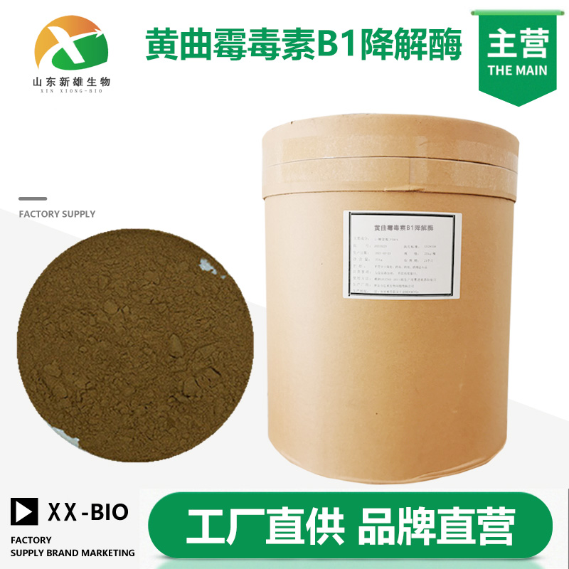 黄曲霉毒素B1降解酶