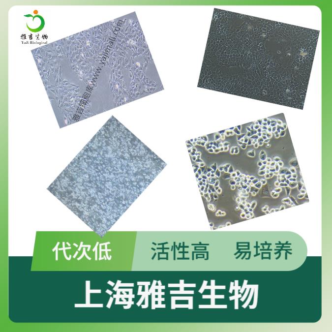 QQ图片20250626113342.png