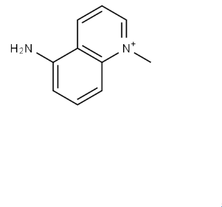 5-氨基-1-甲基-喹啉氯化物