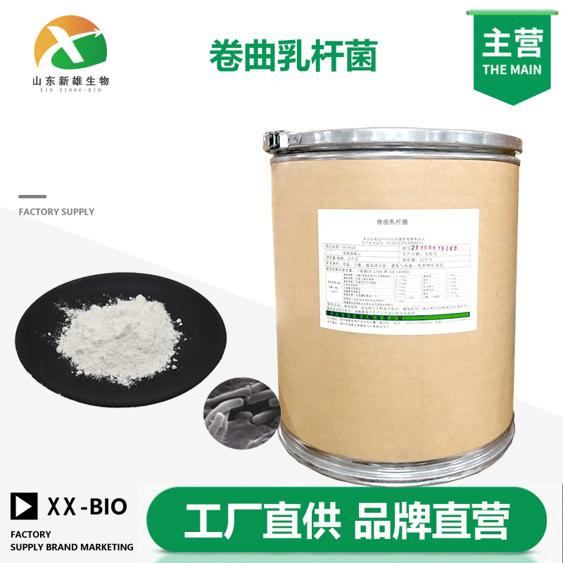 卷曲乳杆菌