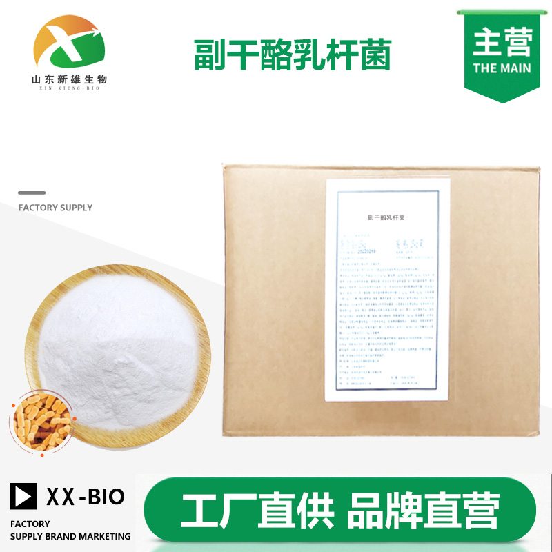 副干酪乳杆菌