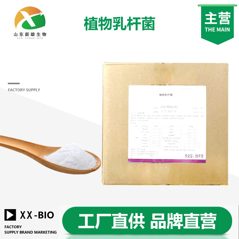 植物乳杆菌