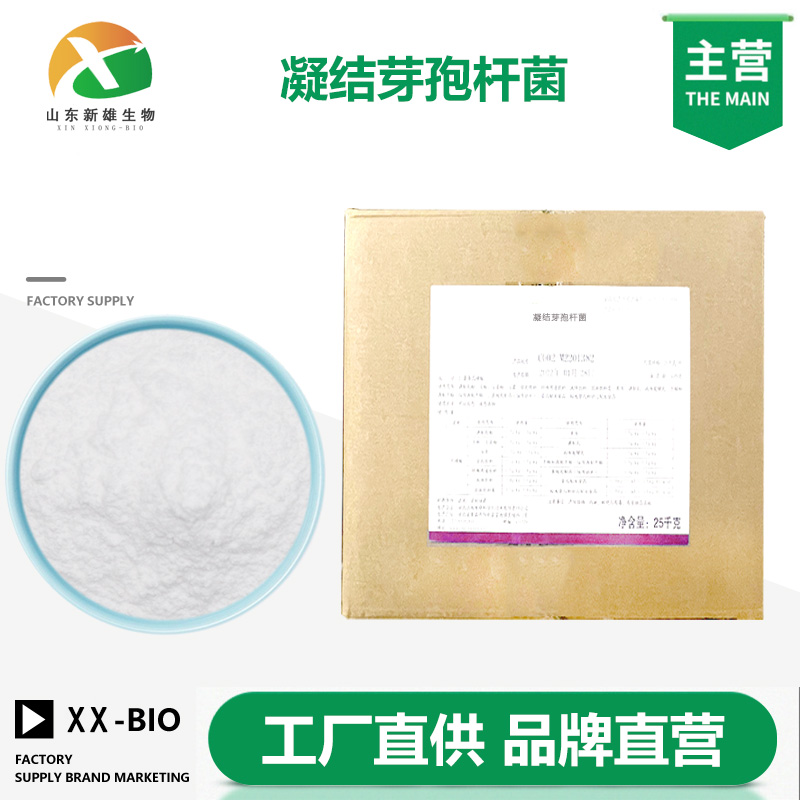 凝结芽孢杆菌