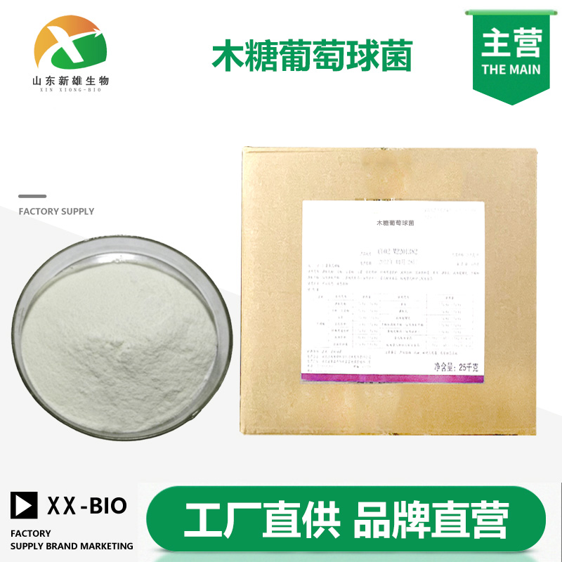 木糖葡萄球菌