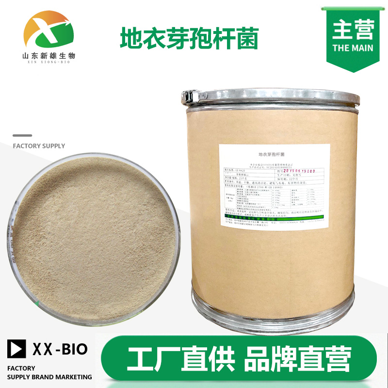 地衣芽孢杆菌