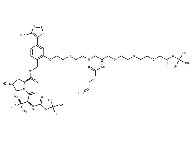 化合物 E3 Ligase Ligand-linker Conjugate 116|T200145|TargetMol