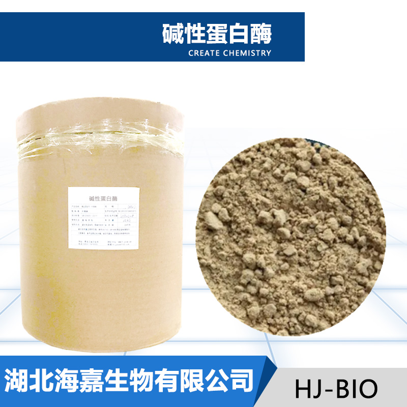 碱性蛋白酶生产厂家
