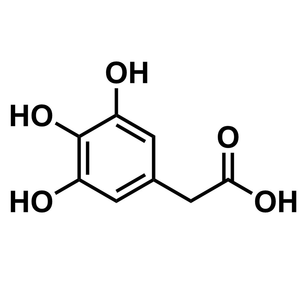 29511-09-9，2-(3,4,5-三羟基苯基)乙酸，2-(3,4,5-trihydroxyphenyl)acetic acid