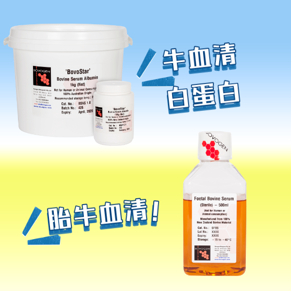 Bovogen 胎牛血清及牛血清白蛋白