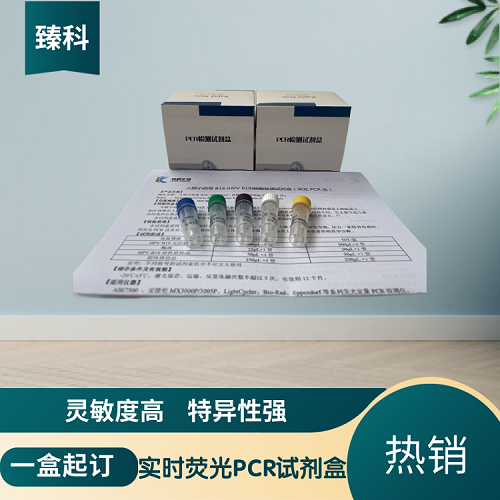 肉毒杆菌B型（CB-B）核酸检测试剂盒（荧光-PCR法）