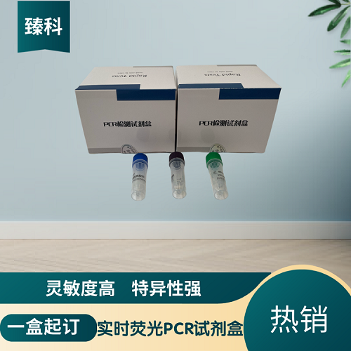 转基因水稻LLRICE62核酸检测试剂盒(荧光-PCR法)