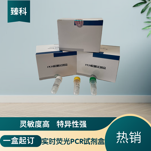 大豆内源基因Lectin核酸检测试剂盒(荧光-PCR法)