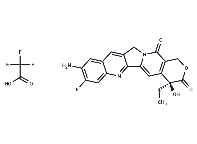 化合物 10NH2-11F-Camptothecin TFA|T87727|TargetMol