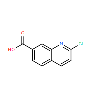 2-氯喹啉-7-羧酸