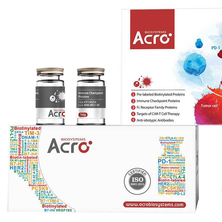 KLRG1蛋白, Fc Tag (SPR verified)